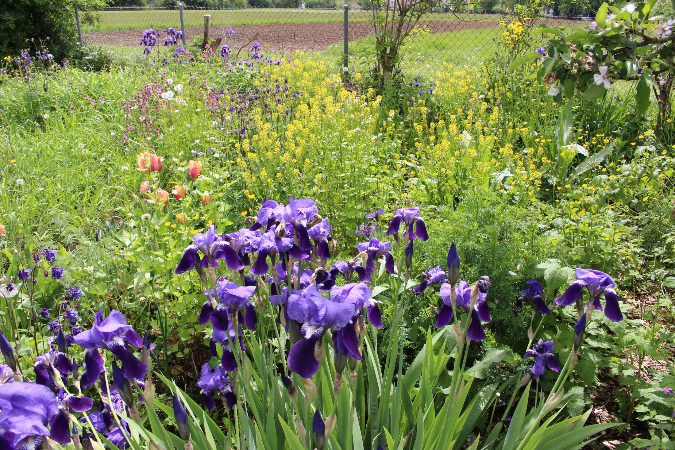 Netzwerk Naturgarten, 1. Mitgliederversammlung