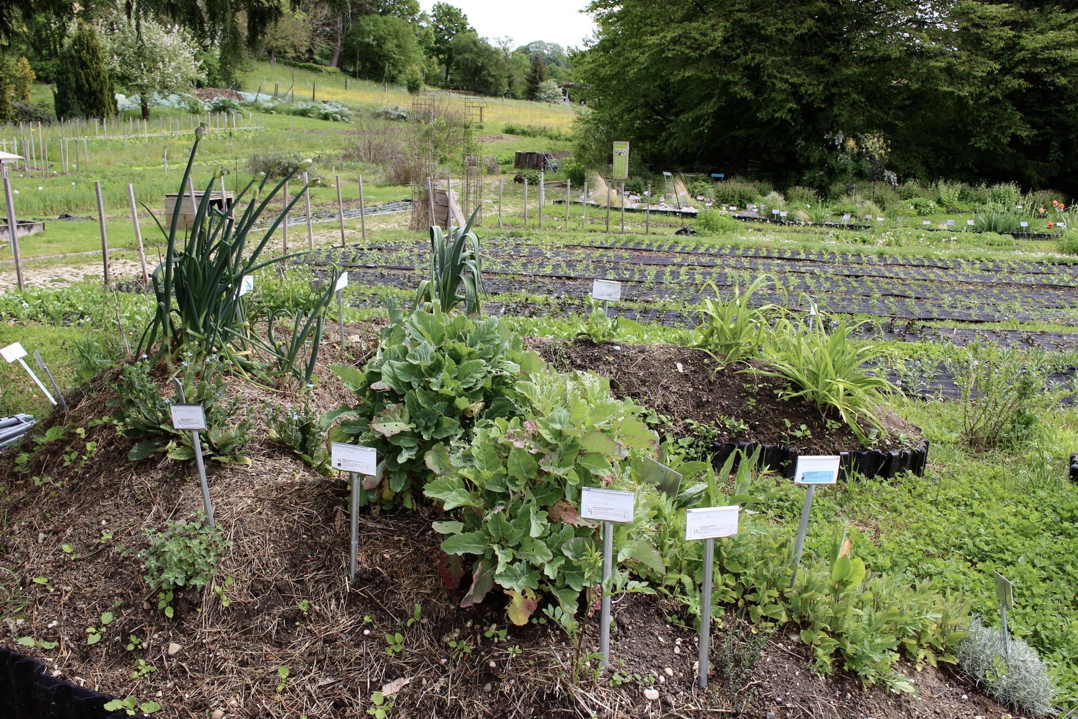 Netzwerk Naturgarten, 1. Mitgliederversammlung