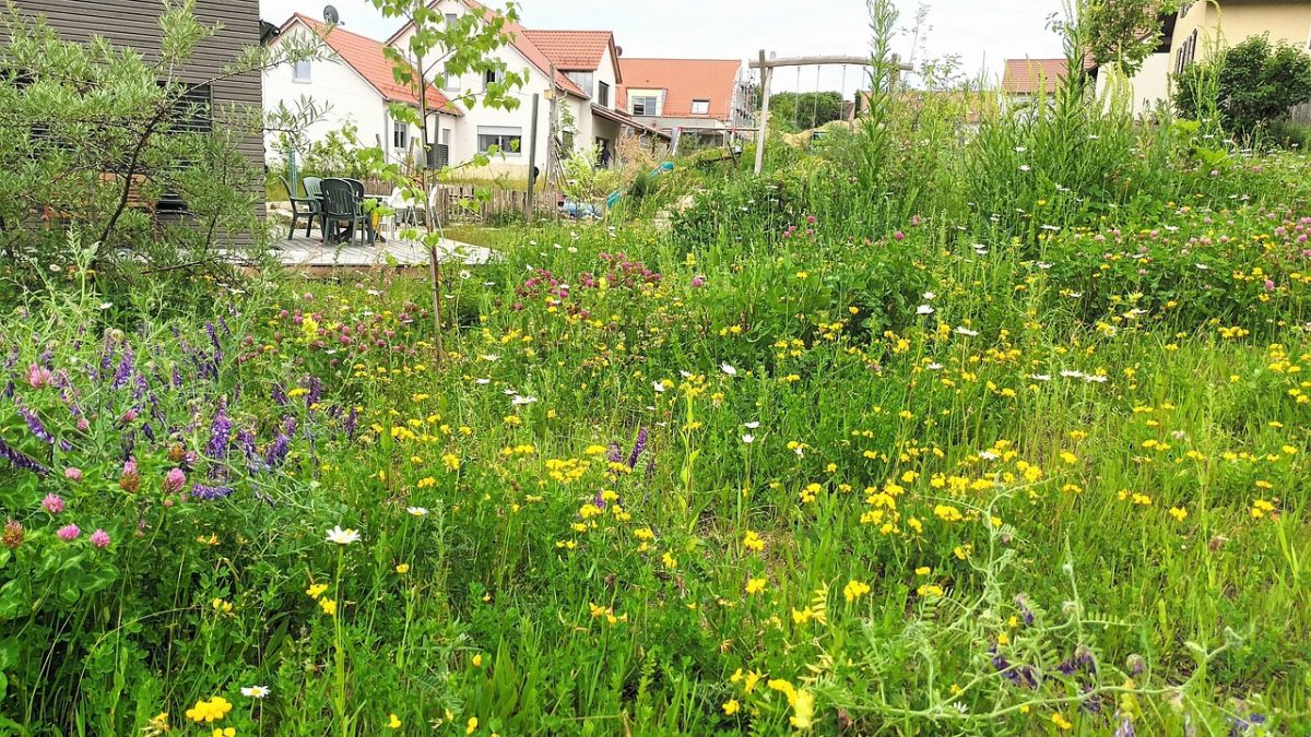 Netzwerk Naturgarten, NGS: Geborgenheit und Biodiversität