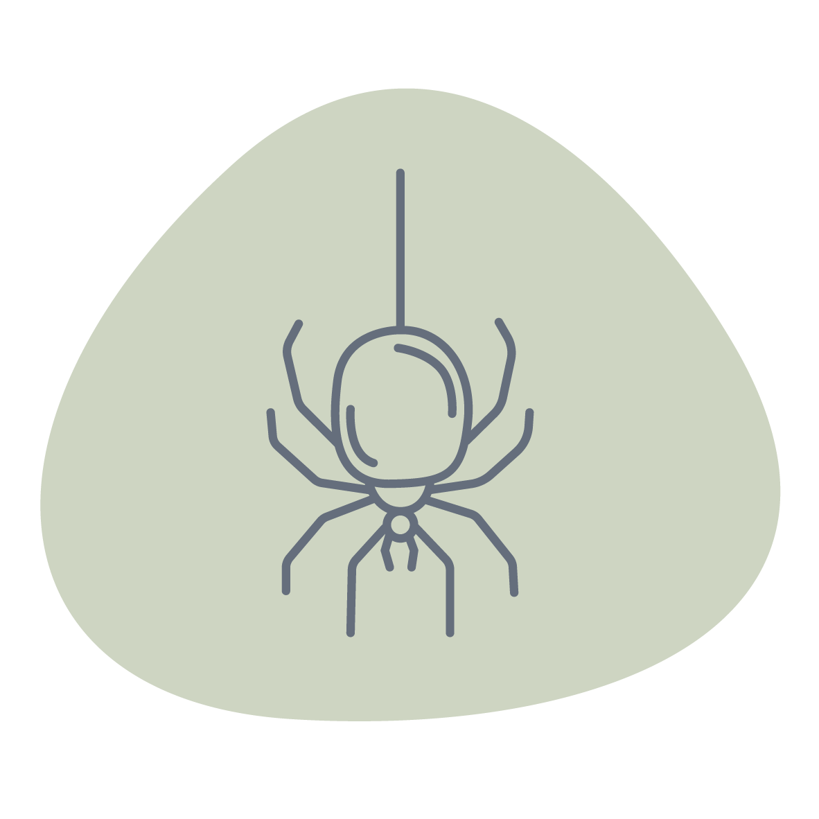 Spinne