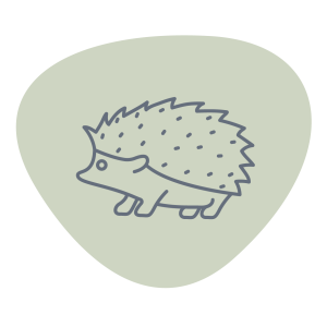 Igel