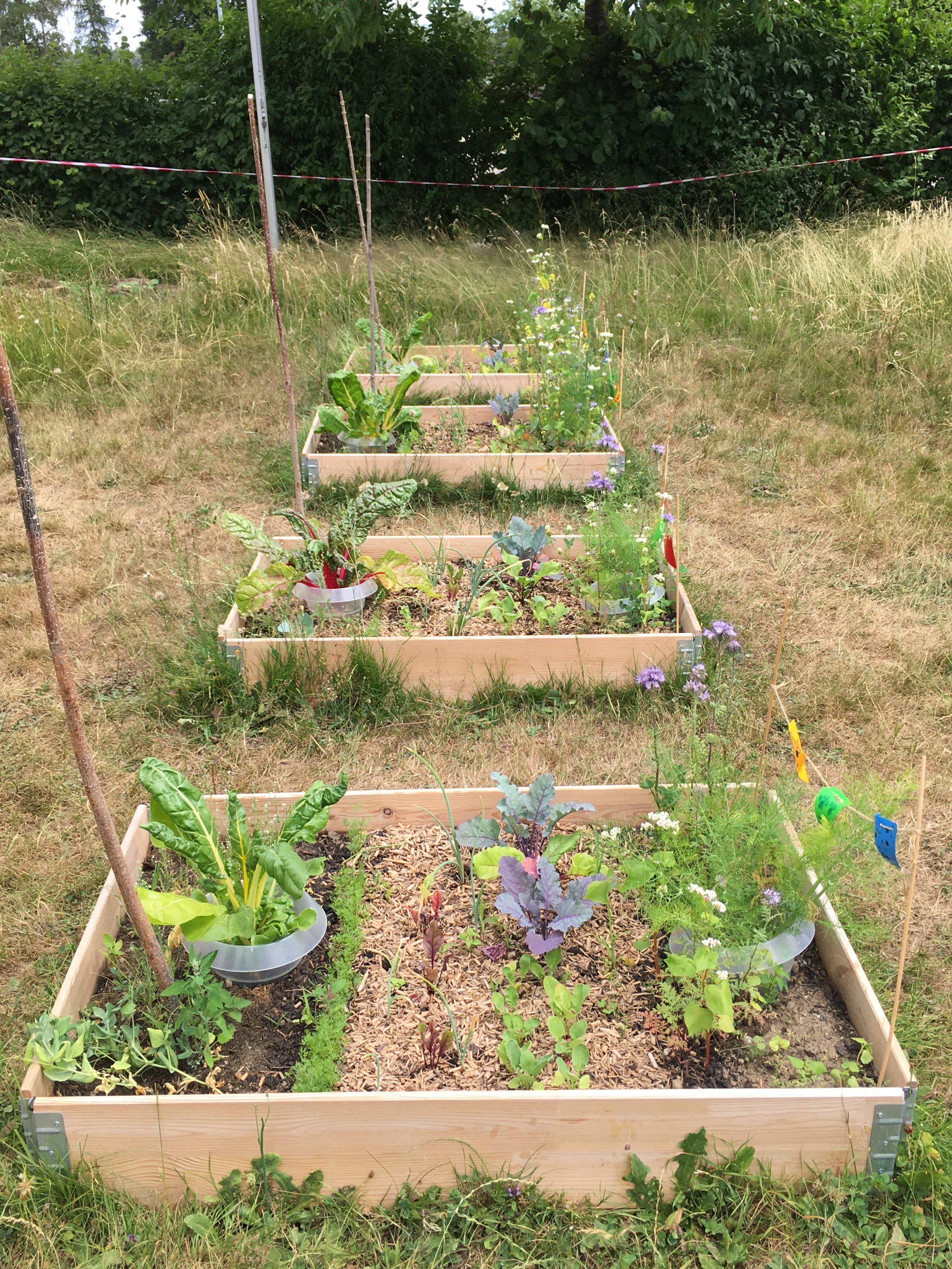 Netzwerk Naturgarten, Pilotprojekt «Schulnaturgarten»