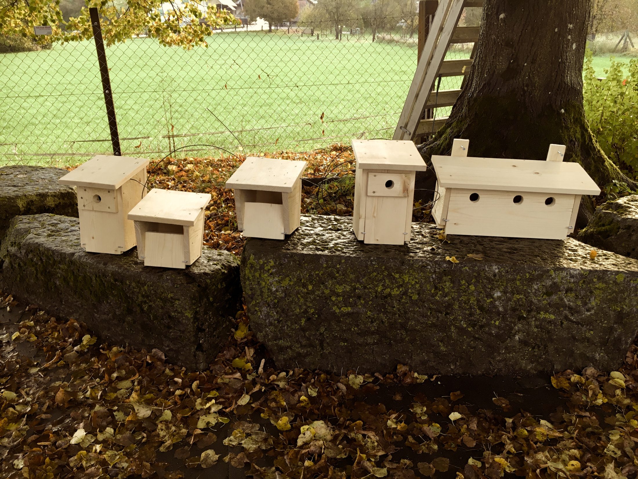 Netzwerk Naturgarten, Nistkästen bauen – Schulprojekt