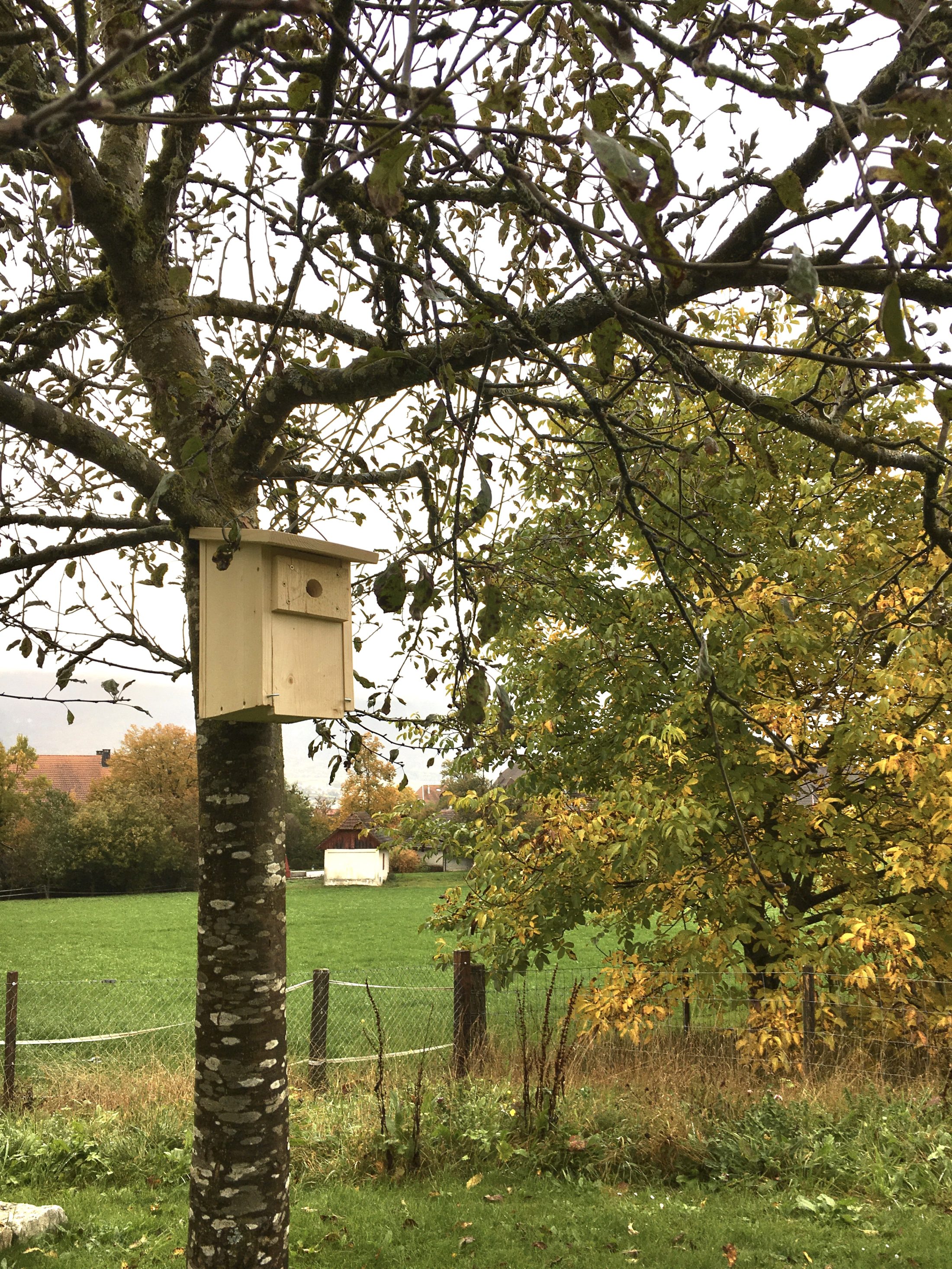 Netzwerk Naturgarten, Nistkästen bauen – Schulprojekt
