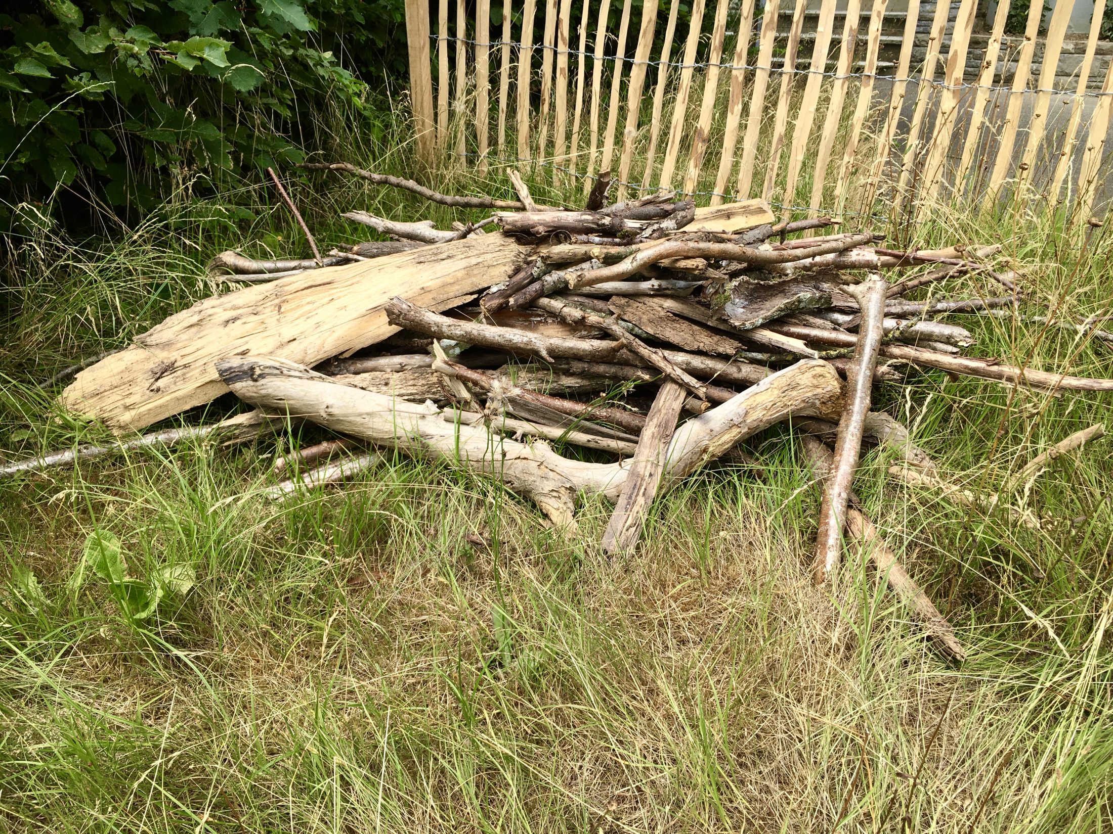 Netzwerk Naturgarten, Pilotprojekt «Schulnaturgarten»