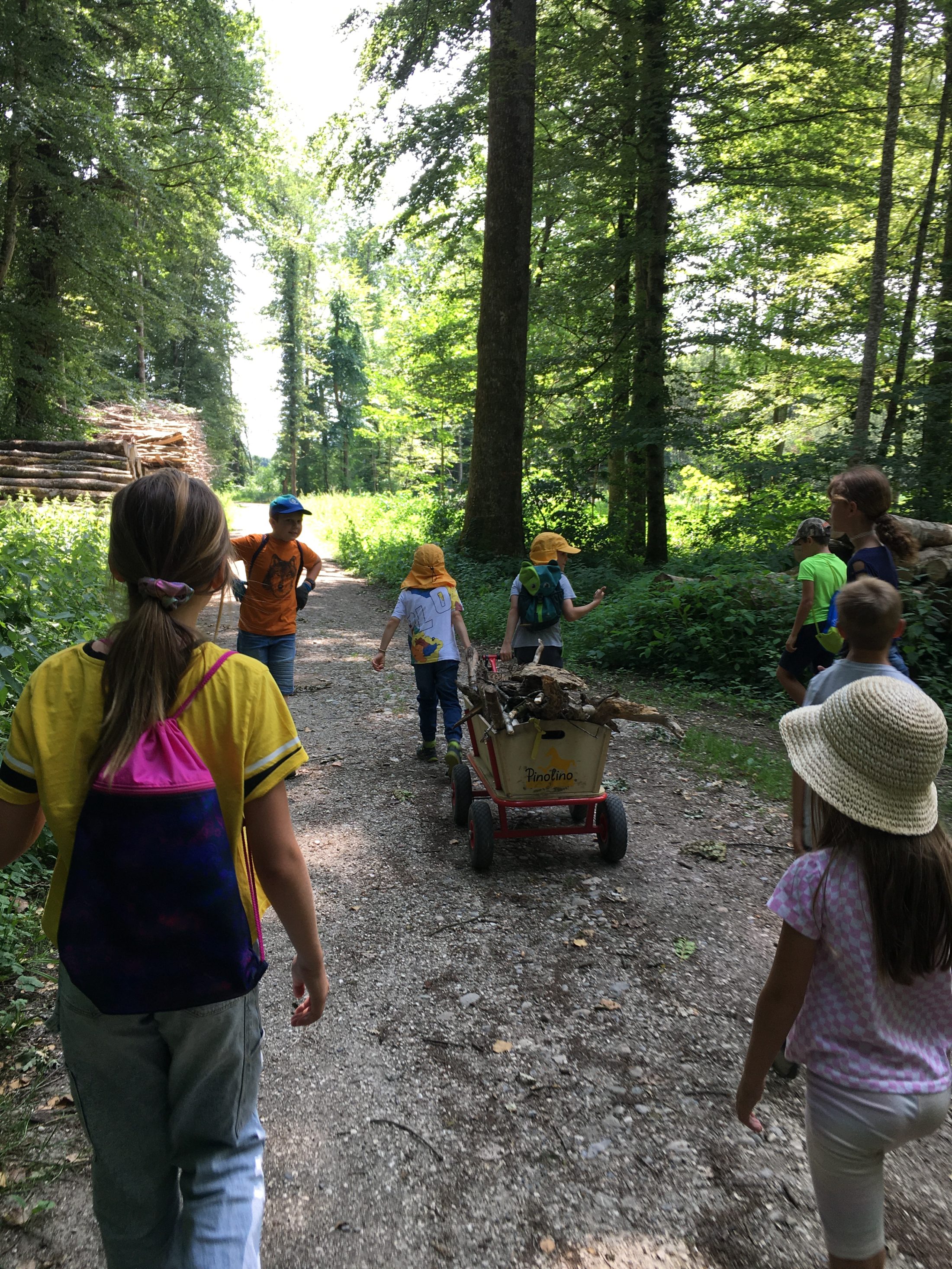 Netzwerk Naturgarten, Pilotprojekt «Schulnaturgarten»