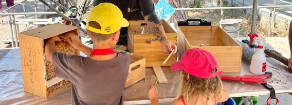 Netzwerk Naturgarten, Rückblick Stadtfest Solothurn