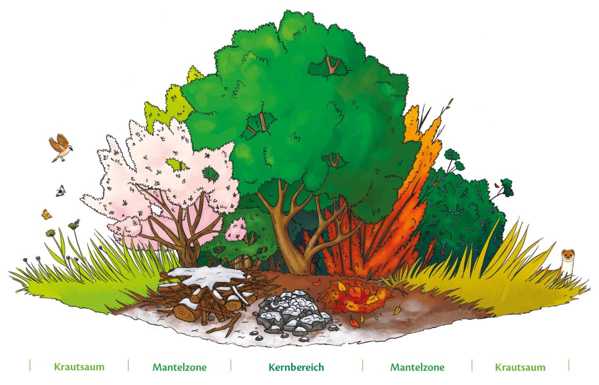 Netzwerk Naturgarten, Heckentag macht Schule