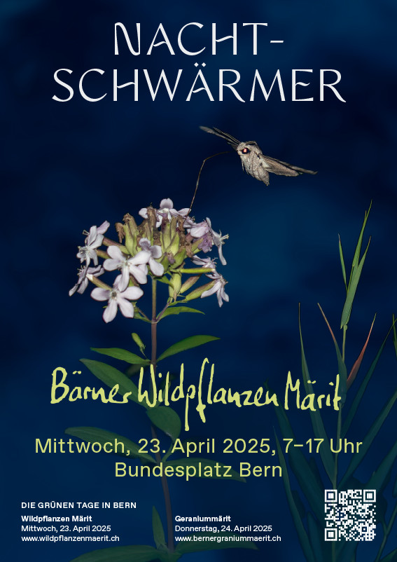 Netzwerk Naturgarten, Bärner Wildpflanzen Märit