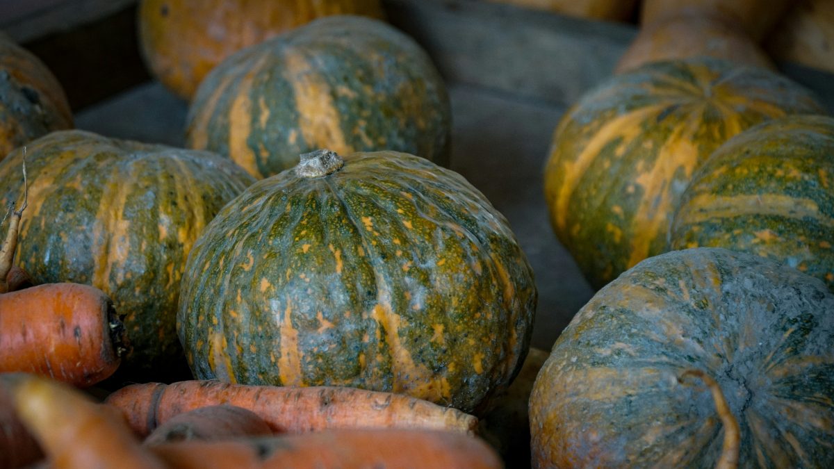 Netzwerk Naturgarten, Vom Beet auf den Teller – Erntefest